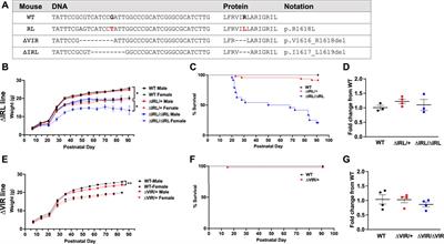 Pathogenic in-Frame Variants in SCN8A: Expanding the Genetic Landscape of SCN8A-Associated Disease